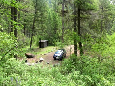 Colville NF - 10-mile campground from trailhead - June 2020 - Sharleen Puckett photo