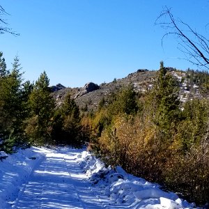 ChelanRidgeHawkWatchSnowEvent-NewSnowOnRoadAsWeWentBackToHausSiteEquipmentOut ChelanRD-OkaWenNFbyJanet MillardUSFS 2019-10-08