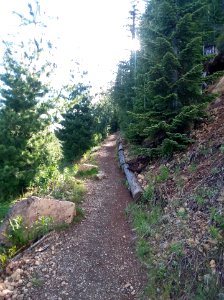 Mt Ellinor Trail June 2018