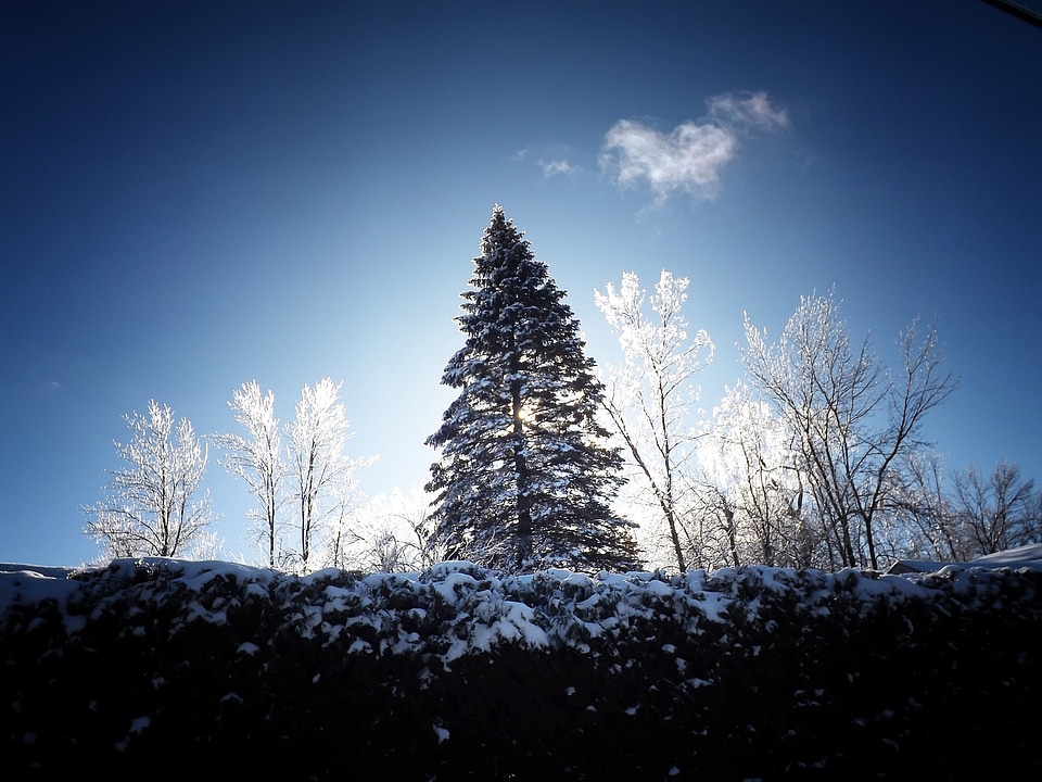 Icy frosted blue storm