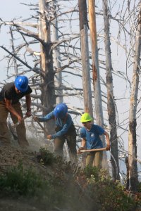 Siskiyou Mountain Club Volunteers on the Rogue River-Siskiyou National Forest