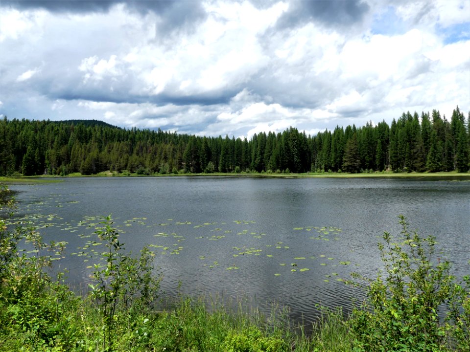 Colville NF Frater Lake June 2020 by Sharleen Puckett 3