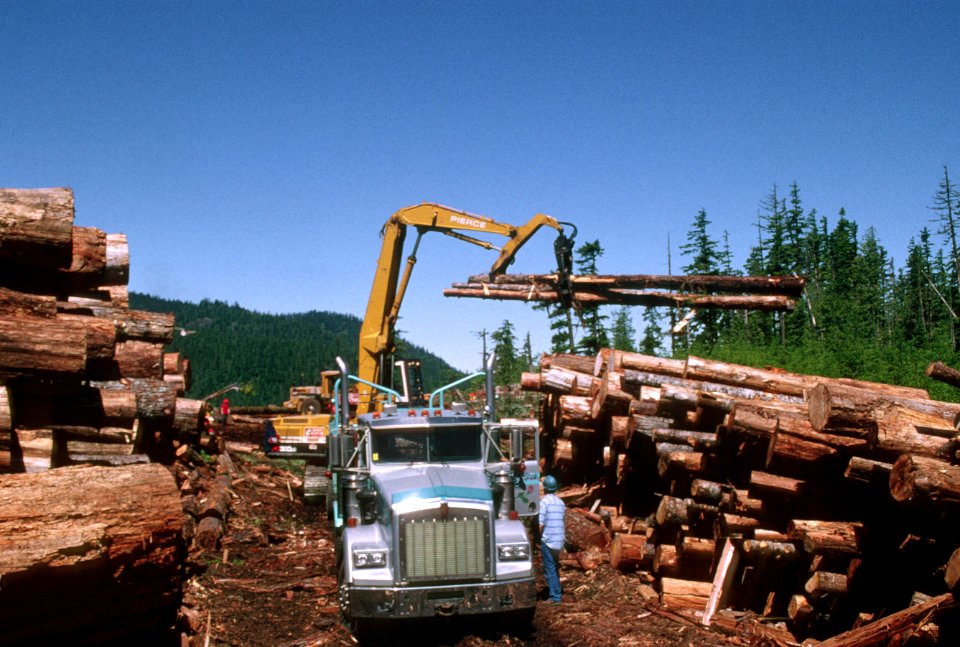 Mt Hood National Forest, timber harvest operations-2.jpg