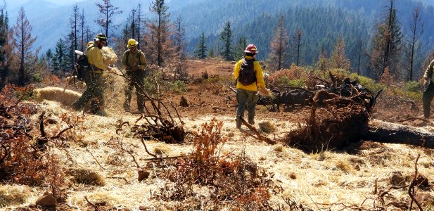 Straw and Seed Repair, Klondike Fire
