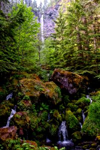 3-richard-krieger-watson-falls-north-umpquajpg 48801015186 o