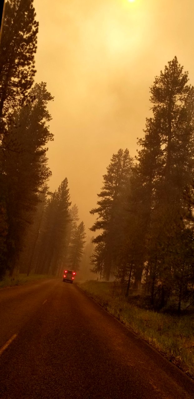 The yellowish sky of dusk during the Canyon 66 Prescribed fire