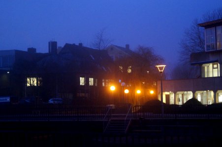  DSC6522