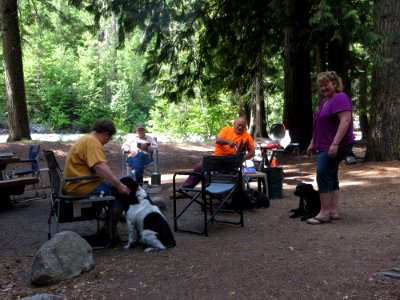 Camping-WithDogs