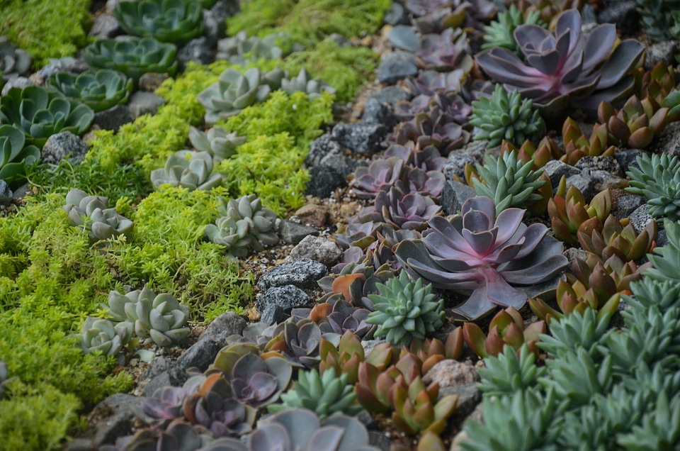 Nature green garden