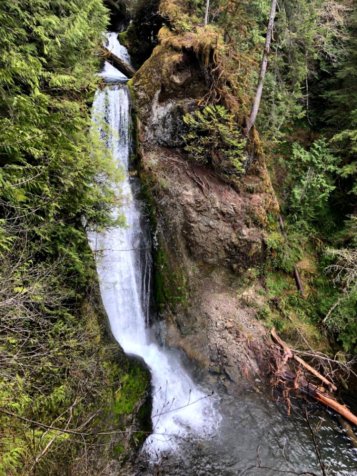 Waterfalls are a favorite destination at Olympic National Forest and Park.