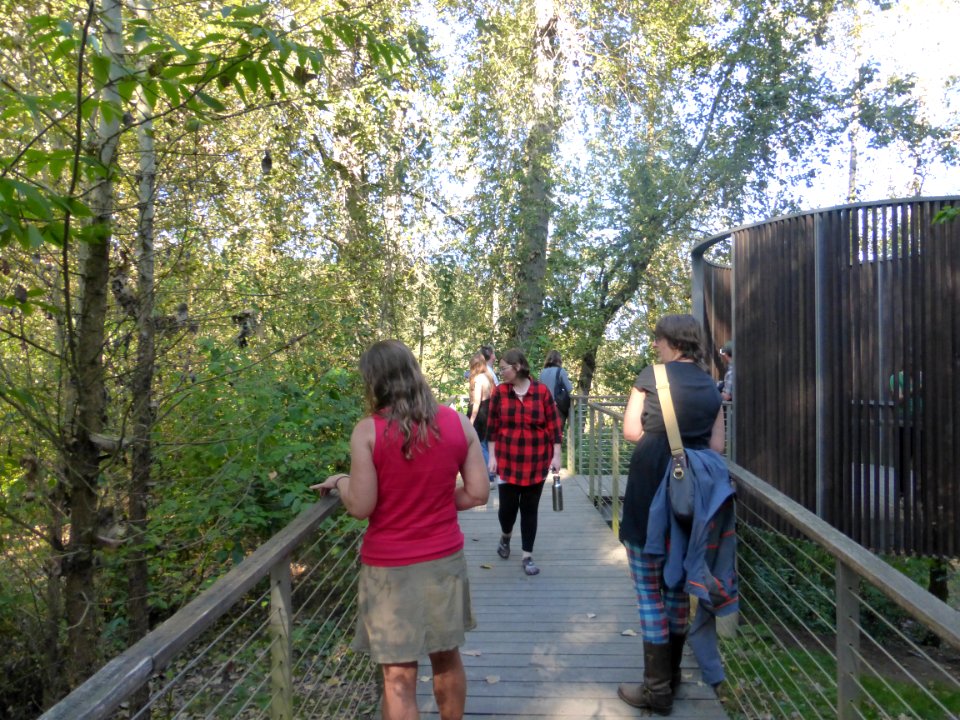 Sandy River Delta accessible trail, 2014.