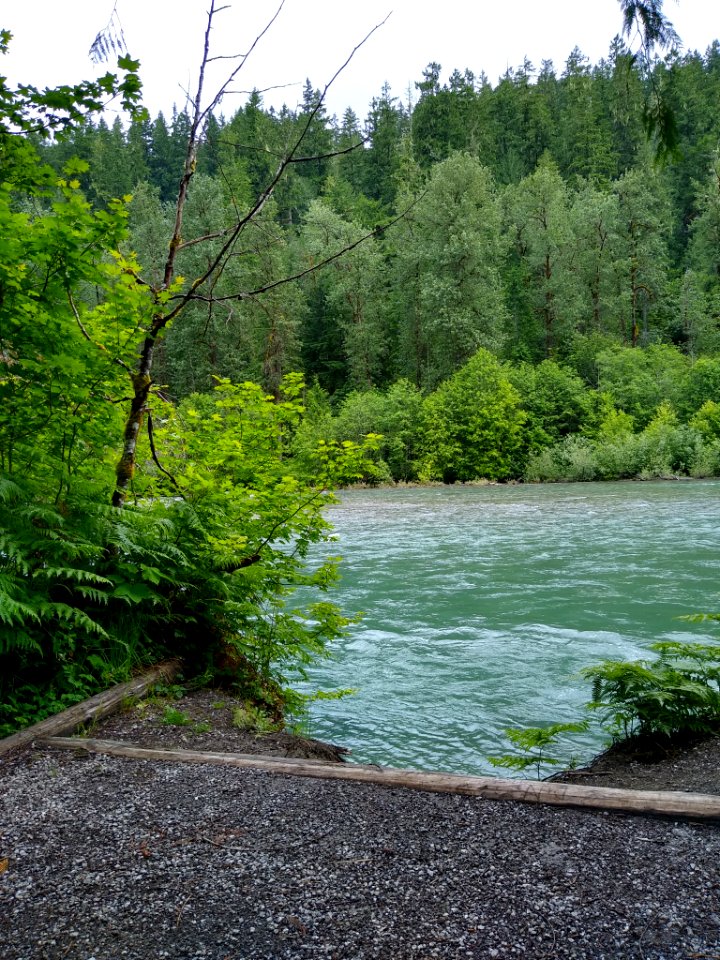 Sauk River viewpoint along Old Sauk Trail, Mt. Baker-Snoqualmie National Forest. Photo taken by Anne Vassar June 16, 2020