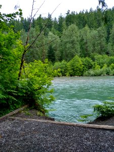 Sauk River viewpoint along Old Sauk Trail, Mt. Baker-Snoqualmie National Forest. Photo taken by Anne Vassar June 16, 2020
