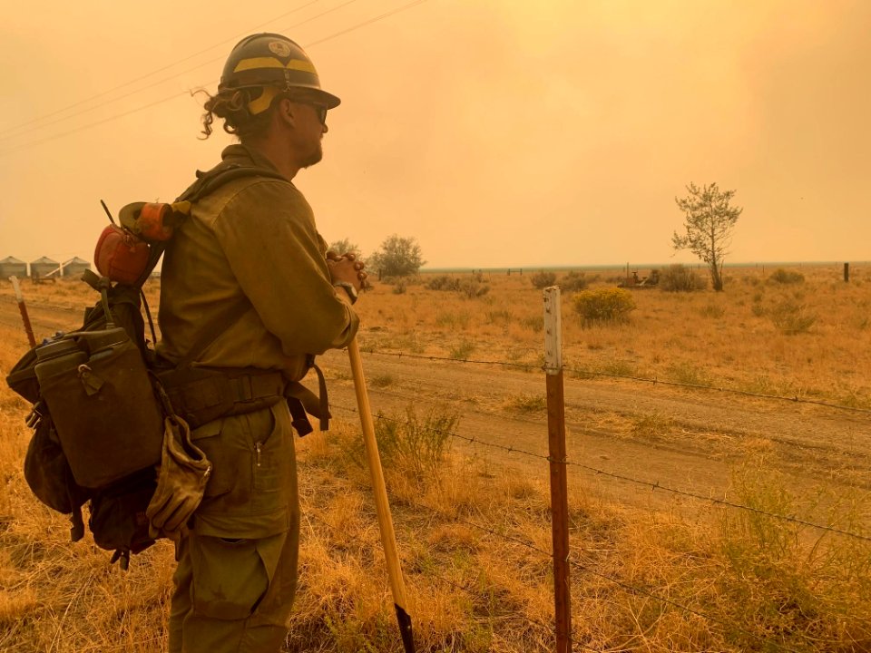 Brattain Fire, Scouting