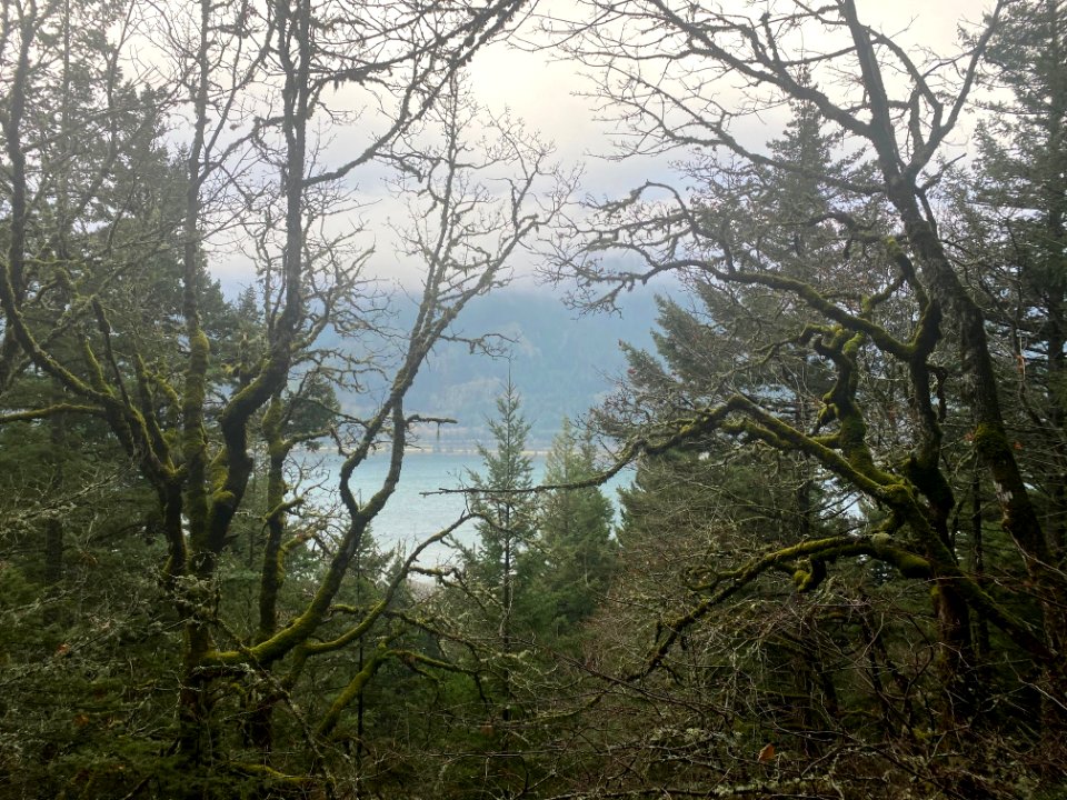 2021-CRGNSA-View from Dog Mountain trail