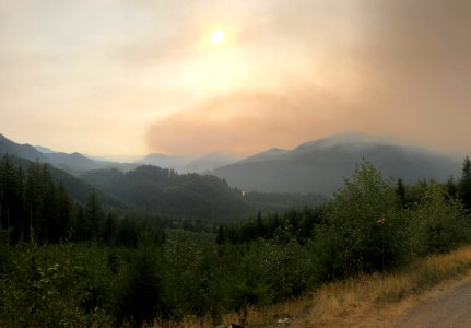 20200910 GiffordPinchot Big Hollow Fire Steriti