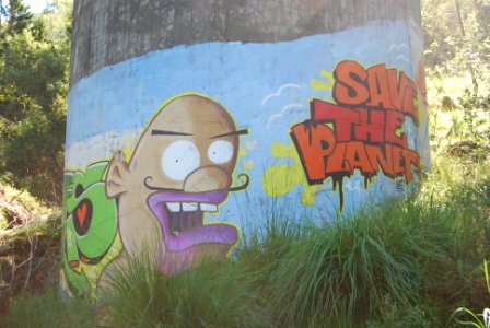 DSC 0617