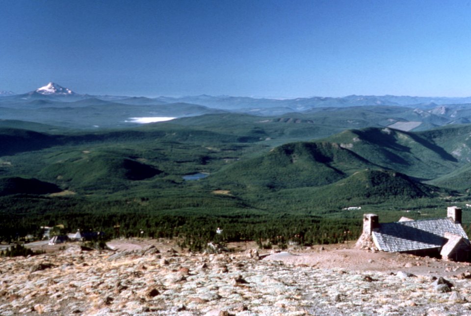 View of Mt Jefferson from Silcox Hut, Mt Hood National Forest.jpg
