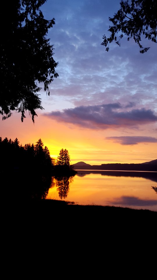 20200224 Olympic LakeQuinaultSunset USFS photo.
