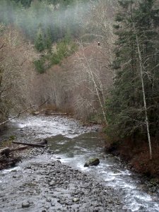 201912 Gray Wolf River, USFS photo by Karen Holtrop.