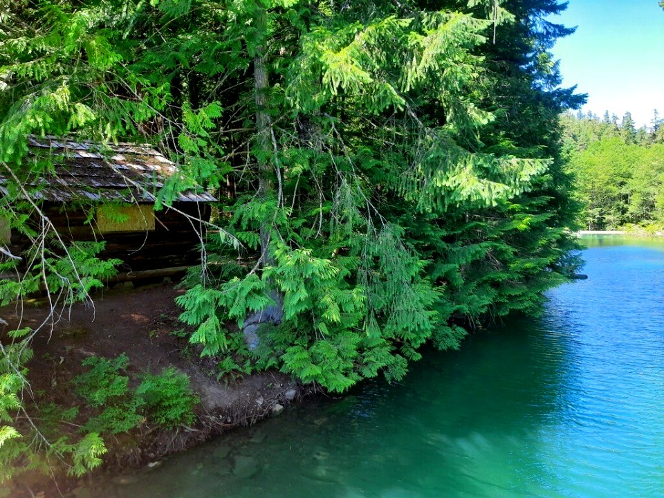 20200727 GP Packwood Lake and historic cabin USFSPhoto
