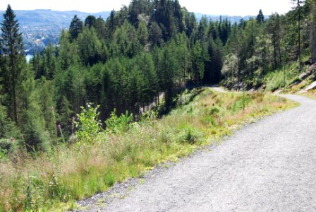 DSC 0646