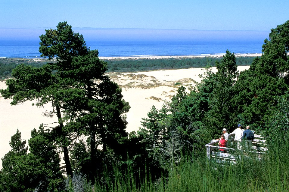 Oregon Dunes Overlook, Siuslaw NF
