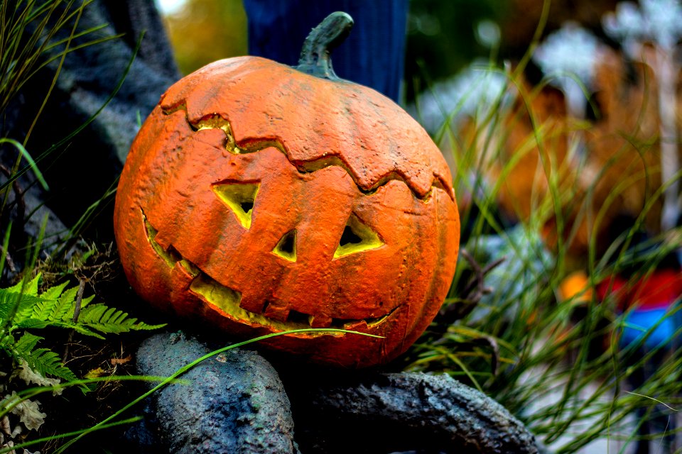 Pumpkin 1