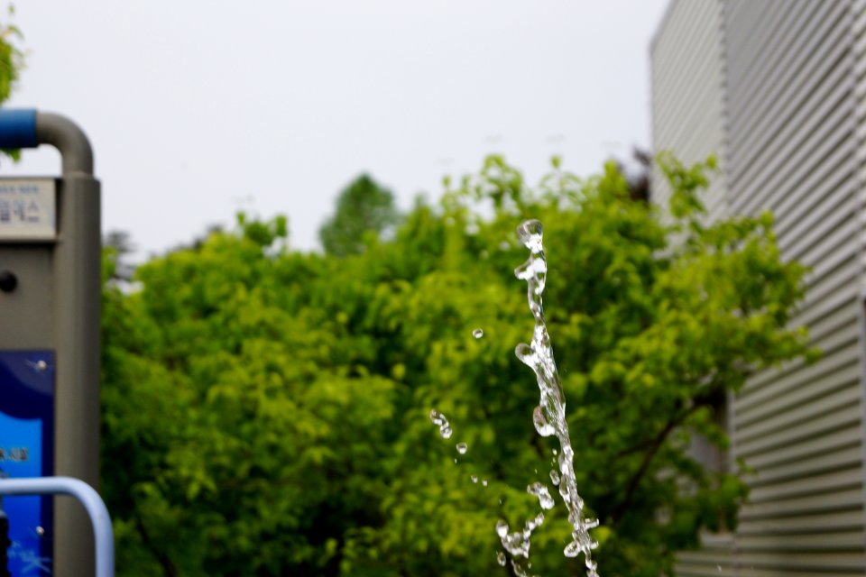 DSC02333