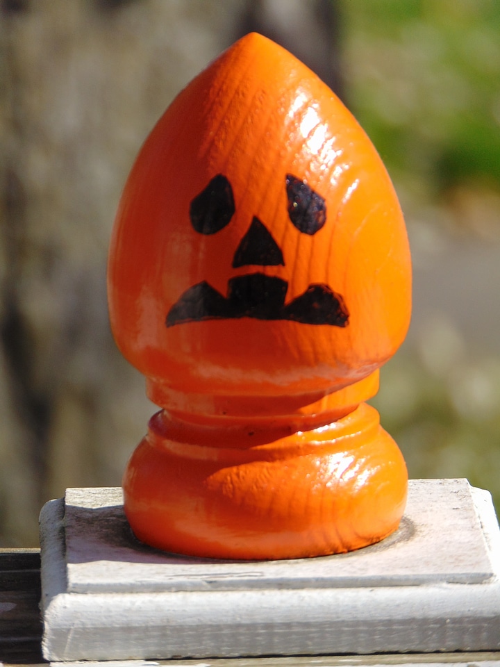 Holiday orange pumpkin