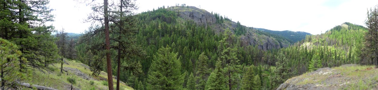 13 Mile Trail June 2020 panorama by Sharleen Puckett photo