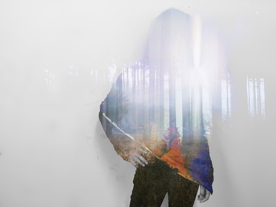 Woods human silhouettes fog