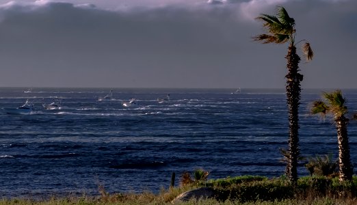 Cabo San Lucas photo