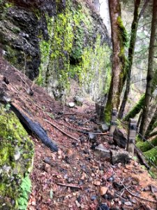 Larch Mountain Trail Initial Survey