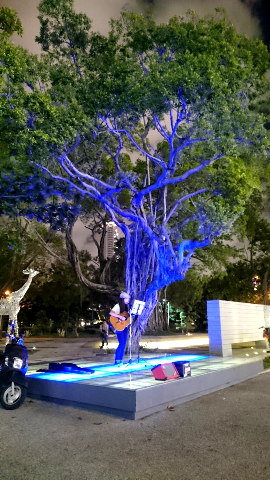 central park performance