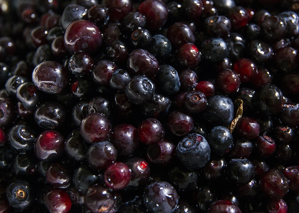 Edible ripe berry