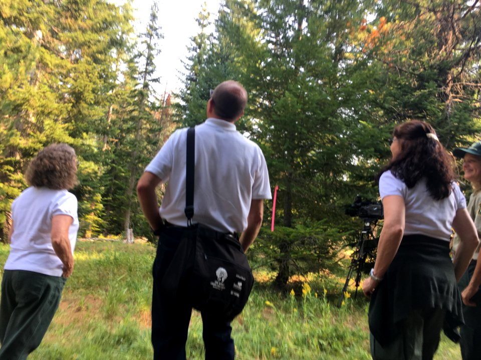 2018 Tree Team searches for the perfect Christmas tree