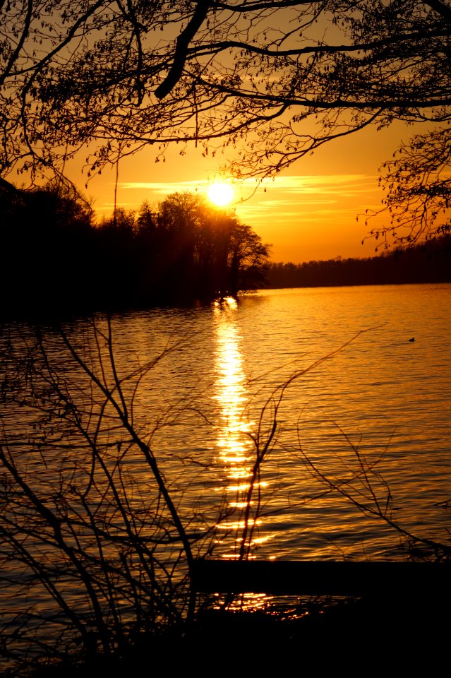 DSC01723