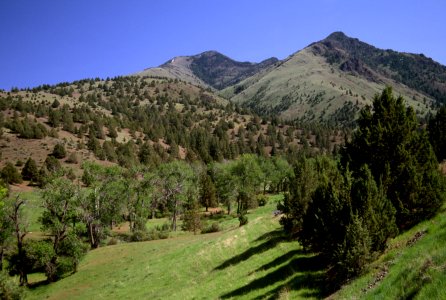 Aldrich Mountains, Malheur National Forest