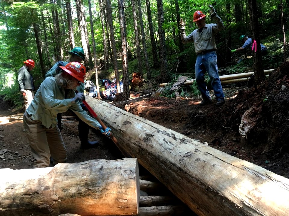 201808 Olympic Washington Trails Association and Back Country Horsemen - Peninsula Chapter, work on the Tubal Cain Trail bridge replacement project.