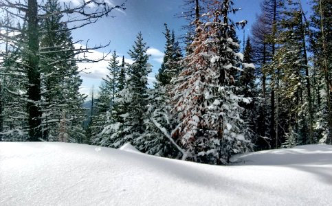 2019-Feb-deLeon-ColvilleNF-Kettle-Crest-showshoe-show-drift photo