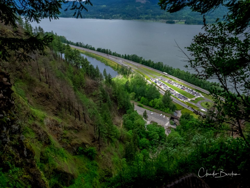 View from Larch Mountain Trail. Photo courtesy of Trailkeepers of Oregon.