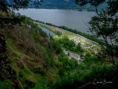View from Larch Mountain Trail. Photo courtesy of Trailkeepers of Oregon.