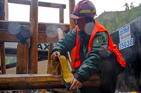 Tree Cutting FS Employee Tying Tree On Truck, Willamette National Forest photo