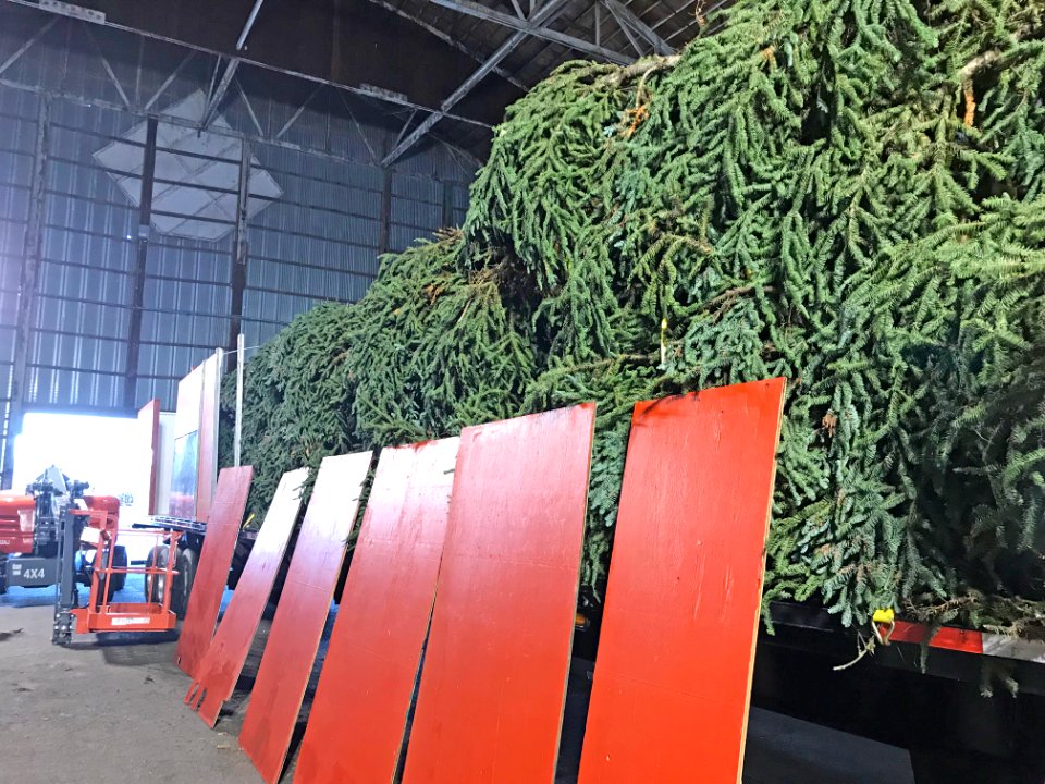 Tree box to be assembled