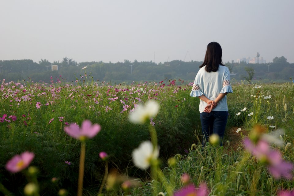 대구 노곡동 하중도