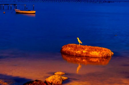 nocturne-2