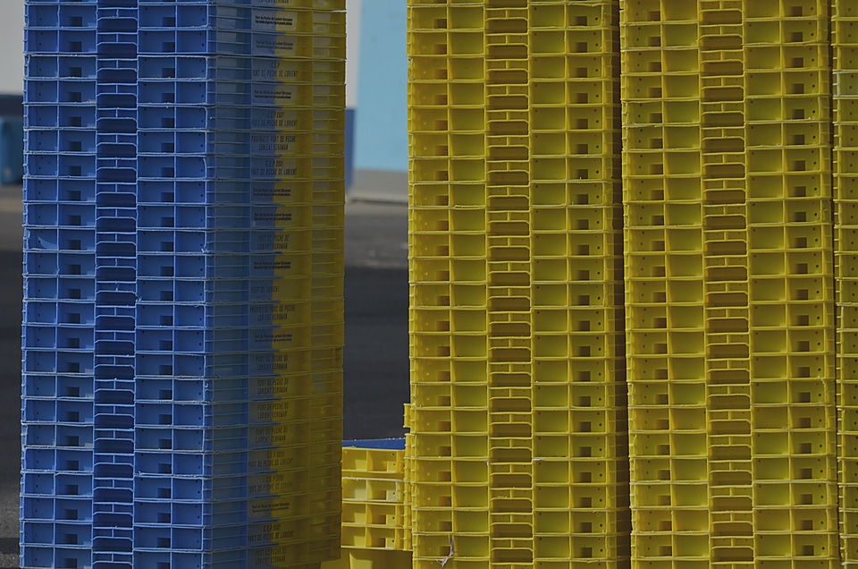 Colors wharf yellow