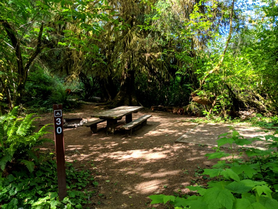 Falls Creek Campground, by Doug Parrish, May 2018