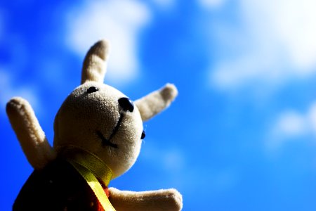 Sky Rabbit